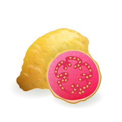 Whole yellow and sliced pink Guava fruit vector illustration