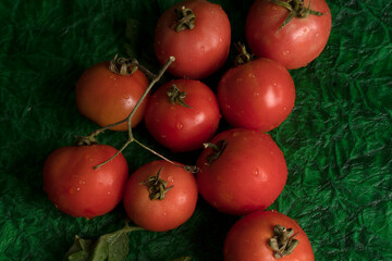 Fresh red tomatoes with water drops on a dark background. Harvesting tomatoes. Top view