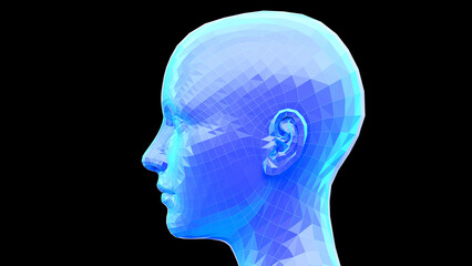 3d rendered illustration of the female head low poly style