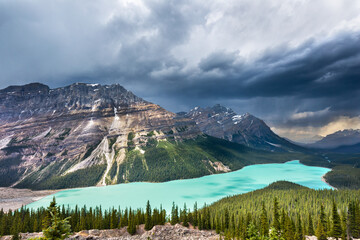 Peyto Lake, Banff National Park