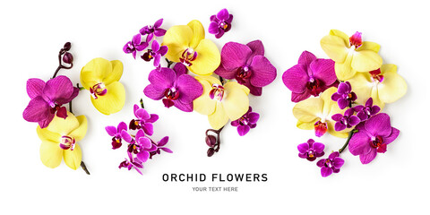 Fototapeta na wymiar Orchid flowers set isolated on white background.