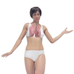 Fototapeta premium 3D Rendered Medical Illustration of Female Anatomy - the lungs.