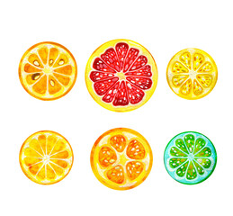 Vibrant Citrus Medley