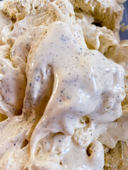 Frisches, hausgemachtes Vanilleeis mit Bourbon-Vanille aus Madakaskar