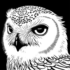 Obraz premium owl on a branch