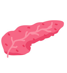 Pancreas