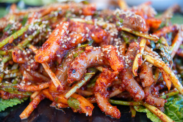 South Korea food. Octopus with Vinegar Dressing spicy
