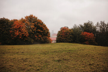 Glade in the park. Autumn.