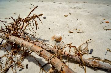 Beach Treasures, Alabama Point, Orange Beach, Alabama