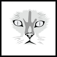 illustration of cate face drawing