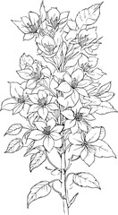 easy botanical doodles. aesthetic flower doodles, botanical drawings, botanical drawings of flowers, botanical drawings of wild flowers, aesthetic wildflower drawings, aesthetic wildflower drawings, 