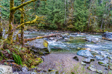 Snoqualmie River Near Falls  4