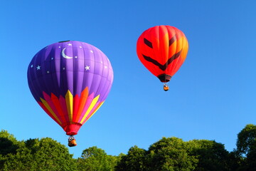 Fototapeta na wymiar Hot Air Balloons in the Sky