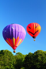 Naklejka premium Hot Air Balloons in the Sky