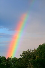 Rainbow after a rainstorm