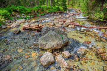 Mountain river in the wild forest. Tatras, Slovakia.