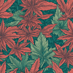 Hemp Leaf pattern seamless background