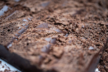 Close-up porous chocolate bar for confectionery