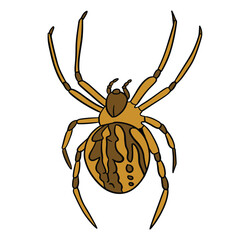brown dessert spider ,good for graphic design resources, posters, banners, templates, prints, coloring books and more.
