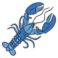 Blue Freshwater Lobster ,good for graphic design resources, posters, banners, templates, prints, coloring books and more.
