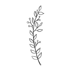 Digital illustration of a cute black outline doodle spring theme frame twig with leaves in scandinavian style. Print for clothes, poster, banner, postcard, web design, coloring.