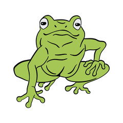 Cute Green frog sitting ,good for graphic design resources, posters, banners, templates, prints, coloring books and more.