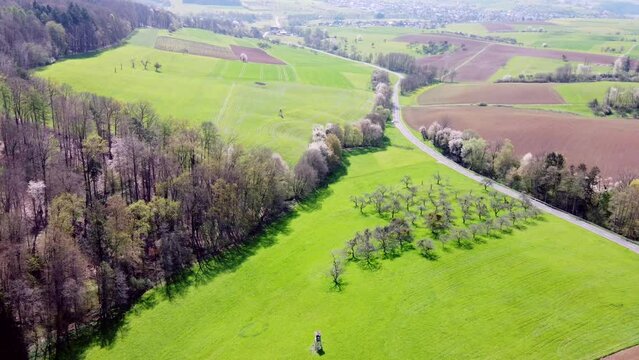 Drohne fliegt über Bachlauf mit Auwald, Wiesen und Strasse, Luftaufnahme