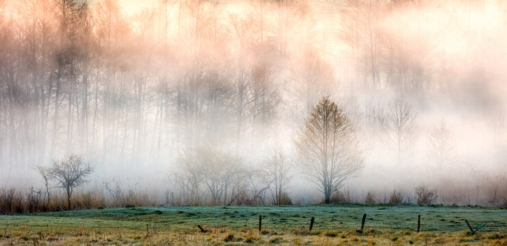 Wiosenne Pola W mgle © Wojciech Lisiński