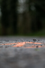 A photo of a bright orange arrow graffiti on gravel ground with trees in the background. An urban art piece standing out in nature.