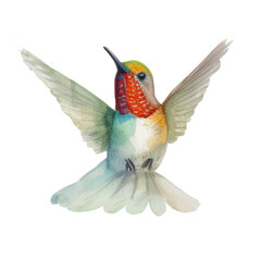 Obraz premium bird hummingbird watercolor. generative ai