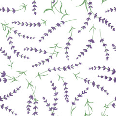Hand drawn seamless pattern with shining glowing line art provance purple lavender flowers.Floral spring summer botanical backdrop on white background.