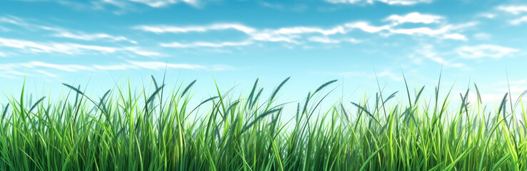 Fototapeta premium a green grassy background with clear blue skies. Generative Ai. 