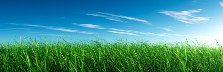 Fototapeta na wymiar a green grassy background with clear blue skies. Generative Ai. 