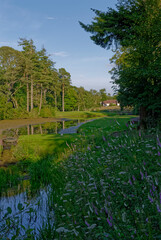 Looking towards the Green of Hole 8 on the Old Course of Letham Grange near to Arbroath on a long sunny Summers Evening.