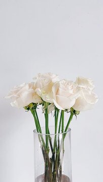 white flowers in vase, flower, bouquet, rose, vase, roses, pink, flowers, blossom, nature, floral, bunch, beauty, bloom, love, wedding, gift, glass, petal, beautiful, arrangement, isolated, plant, spr