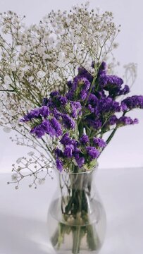 flowers in vase, flower, bouquet, vase, nature, flowers, plant, lilac, blossom, spring, bloom, purple, pink, floral, isolated, petal, beauty, pot, decoration, blooming, bunch, flora, leaf, blue, viole
