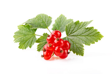 Ripe red currant berries with leaves on white background. Bunch of redcurrants in close-up.