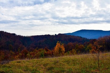 Glade with wild grass. A wonderful view of the hills and mountains in the distance