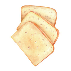 Watercolor illustration. Sliced cheddar cheese. Hand-drawn national cuisine of italy. Isolated on a white background. To create restaurant menu designs, food packaging, grocery store window dressing