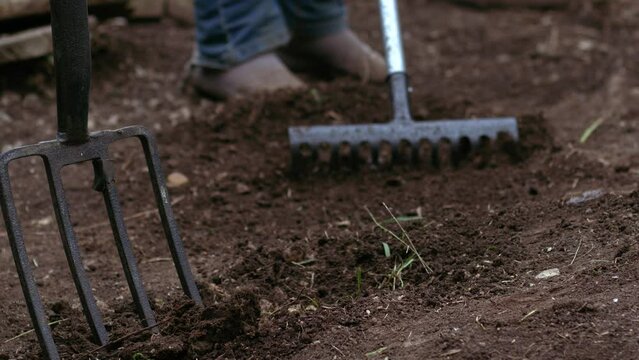 Gardener preparing soil with rake for growing plants 