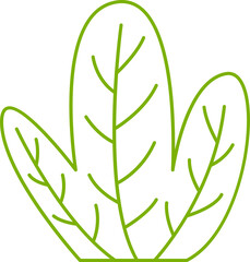 tropical leaf illustration