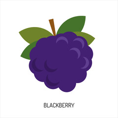 Juicy blackberry berry isolated on a white background. Vector illustration of berries for design