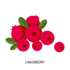 Juicy lingonberry isolated on a white background. Vector illustration of berries for design