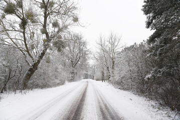 Obraz premium Winter landscape. Snowy road.