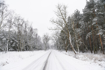 Obraz premium Winter landscape. Snowy road.