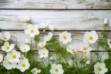 White wild flowers. Generative ai