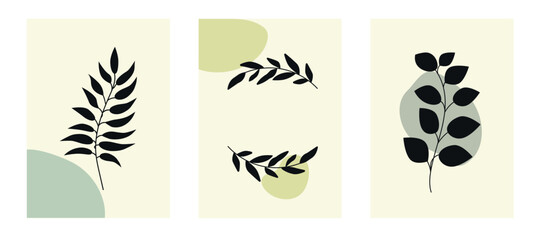 Fototapeta na wymiar Сover abstract background set рlants, leaf, branch. Modern illustrated design for wall art, wallpaper, decoration, print. Floral social media background. Vector illustration.
