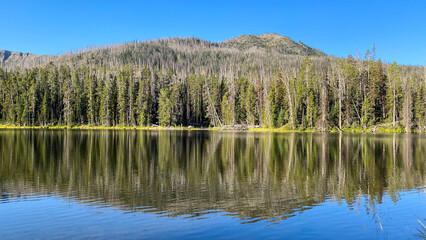 Sylvan Lake morning time in Yellowstone National Park