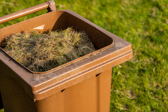 Removing dead grass after winter, spring care of grass, rural garden concept, Debris Left Over by an mechanical Lawn dethatcher, dry grass maintenance. Nature background, climate change