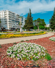 Fototapeta premium Square in Antalya with flower beds. Pansy flowers in a flower bed in a public garden in the Turkish city of Antalya.
